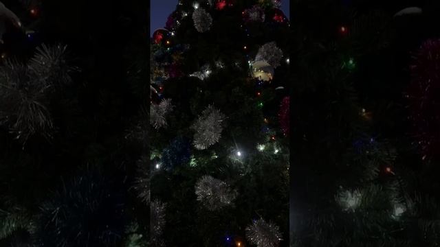 1000026347.mp4