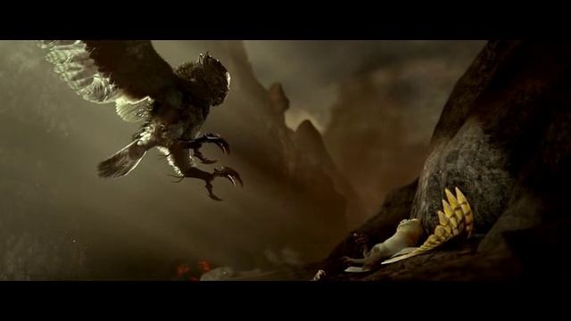Совы.mp4