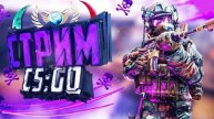 стрим по кс2