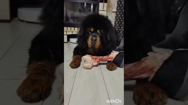 1000010339.mp4