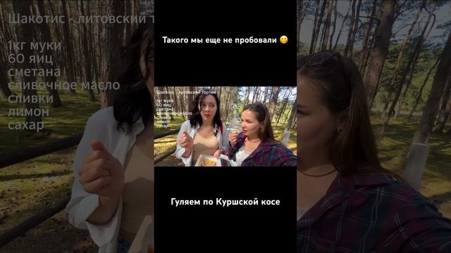 Новый Влог, уже на канале #балтийскоеморе #калининград #куршскаякоса #travel #высотаэфа  #шакотис