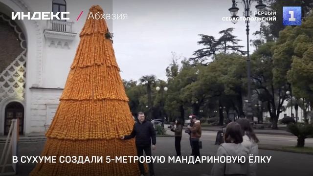 В Сухуме создали 5-метровую мандариновую ёлку