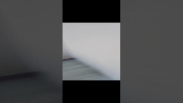 VID20241225141727.mp4