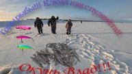 Рыбалка в Ханты-Мансийске! Ловим рыбу зимой! Клёв как с пулемёта! Горы рыбы!!!