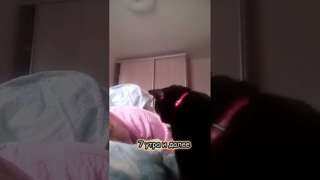 Вставай, кожаный! Жрать пора!