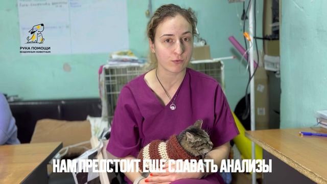 Давайте вместе радоваться за Маккласки! Поддержать⬇️