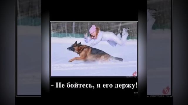 Юмор: Сань, давай сюда, я тебе место занял!