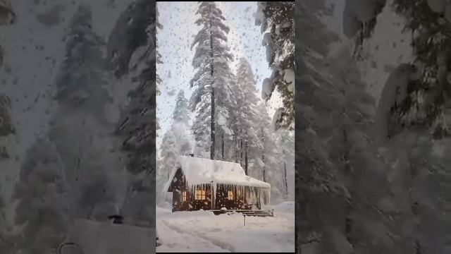 Новогодняя