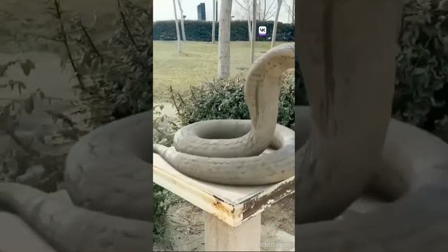 Неожиданно