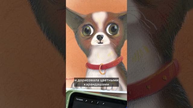 Рисовать на планшете или карандашами? #procreateart #иллюстрация #собачки