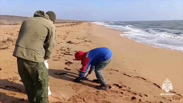 🇷🇺 Мазут с затонувших в Керченском проливе танкеров добрался до Южного берега Крыма

По словам губ