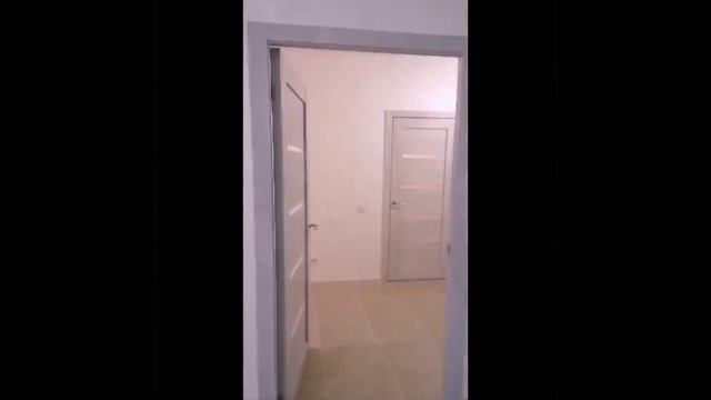 VID-20241225-WA0024.mp4