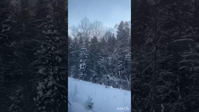 Новогодняя суета. Стих мое сочинение.
