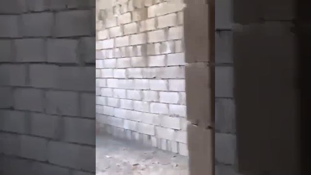 2 к кв, 78 квадратов