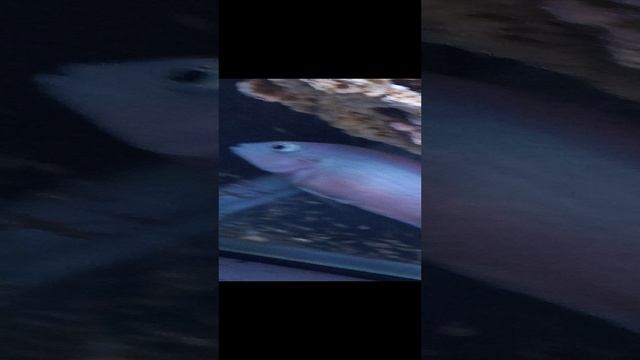 1000014473.mp4