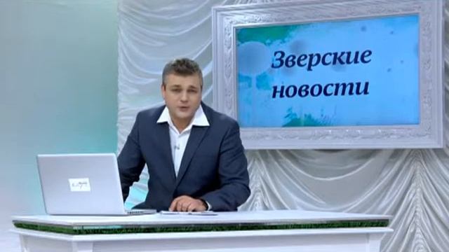 Сам КОЗЕЛ! Зверские новости на Xayc.TV. Выпуск № 3