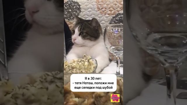 Салатик 🥗