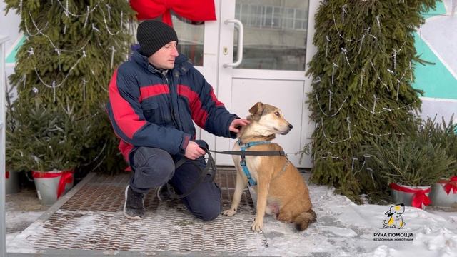 Хотим побольше слов сказать о Живчике! Поддержать⬇️