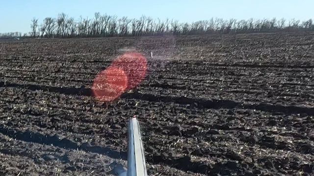 Первая охота на зайца в 2025 году (03.01.2025)