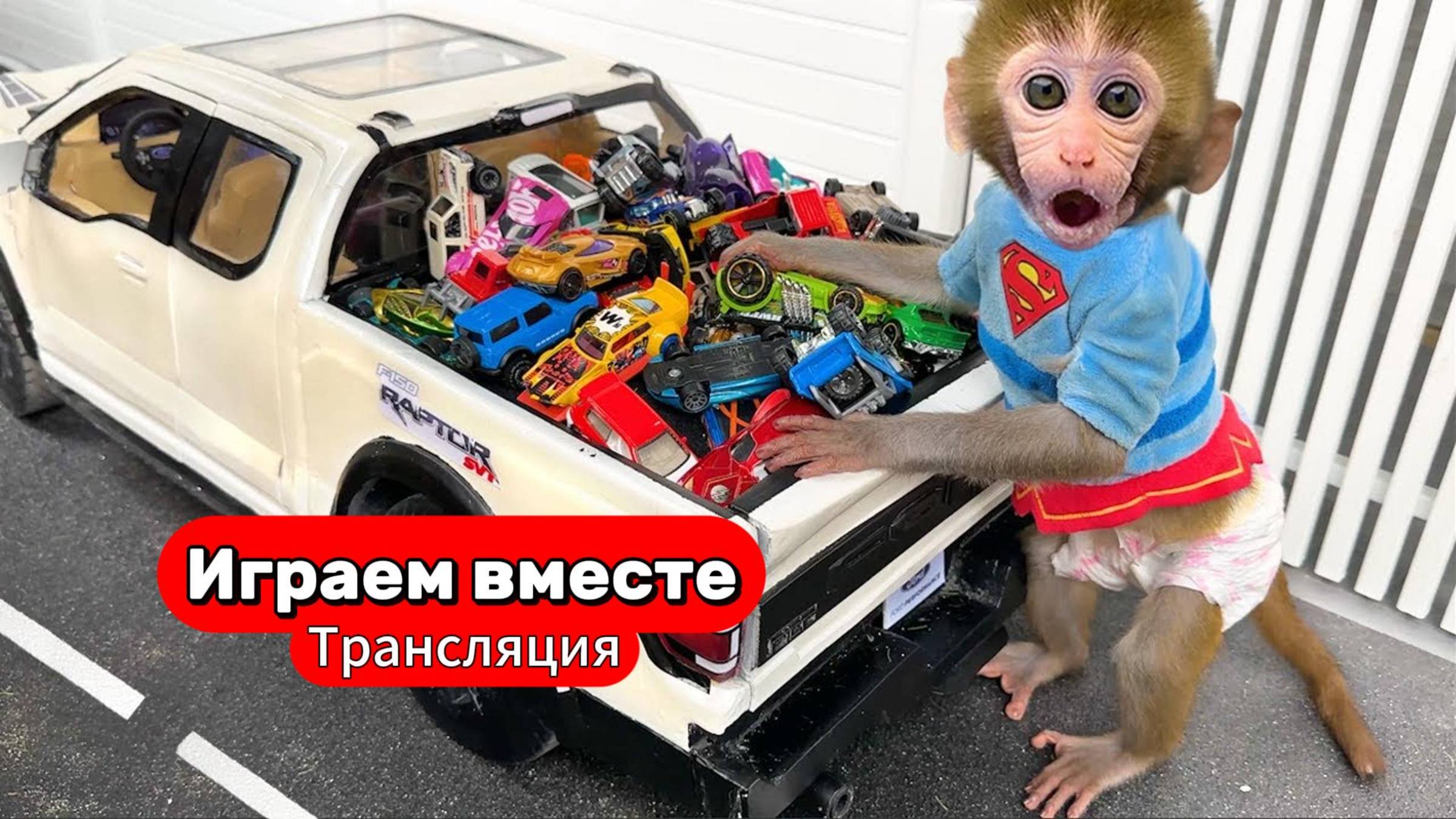 Приключения Обезьянки и друзей 🐒🐒🐒 Трансляция для детей