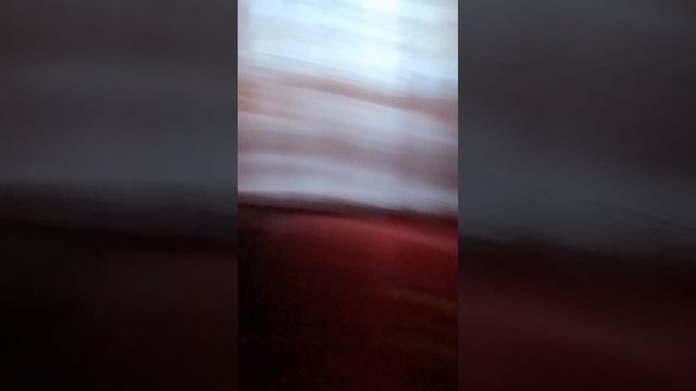 VID-20250103-WA0034