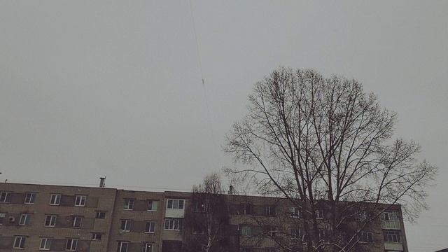 Новый год в Заволжье ❄️❄️❄️