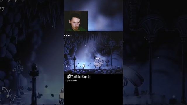 Hollow Knight: Жук-охранник и жук-малыш