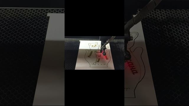 Создание семьи котов