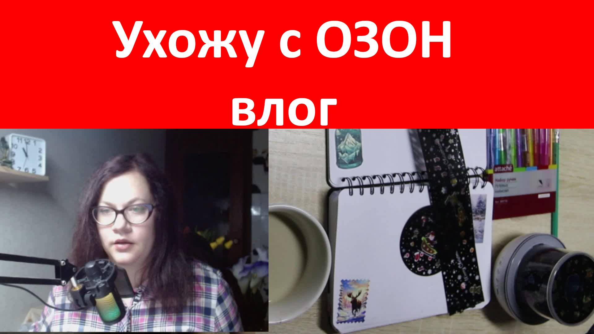 Эфир-Болталка. Ухожу с Озон. Влог, блокнот.