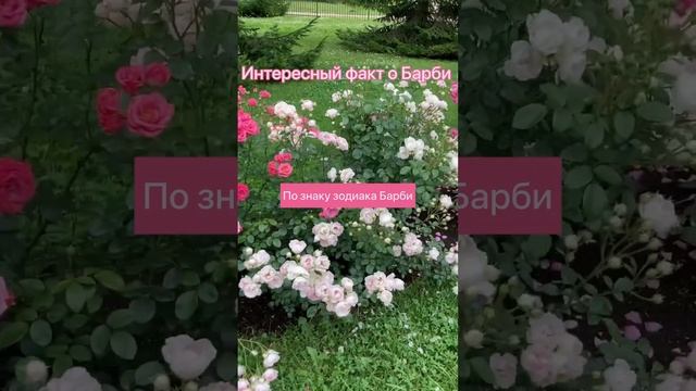 ИНТЕРЕСНЫЙ ФАКТ О БАРБИ