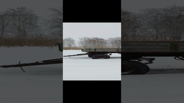 1000015573.mp4