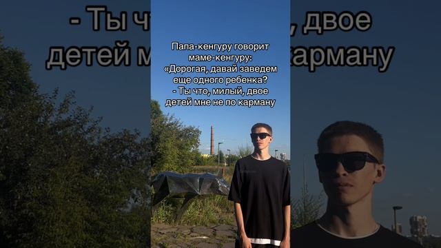 Хотели бы кенгуру на улице встретить? 😎 YouTube: SaityLow