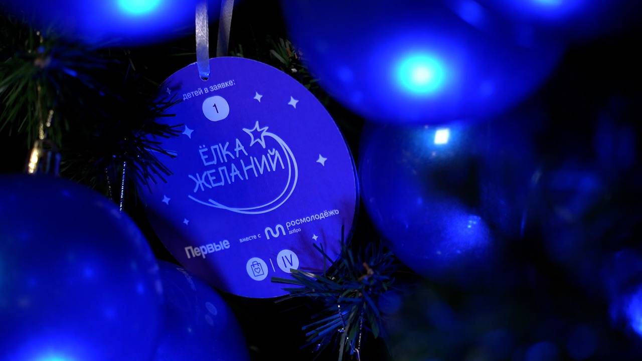 Руководящий состав МВД России исполнил новогодние мечты детей на «Ёлке желаний»