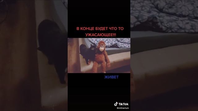 Ужасающий 4