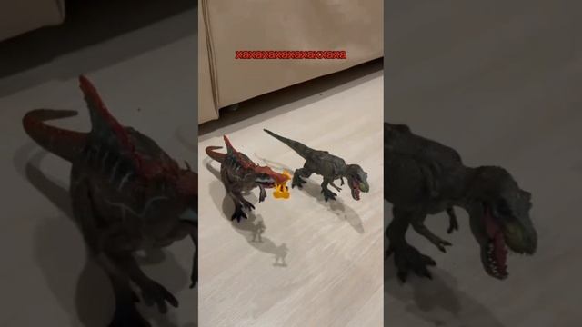 1000006618.mp4