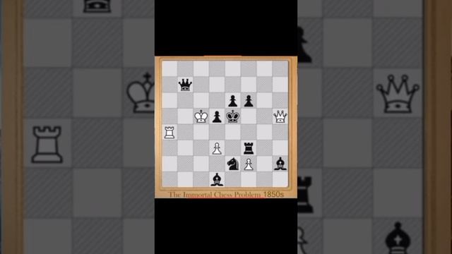 Chess.com