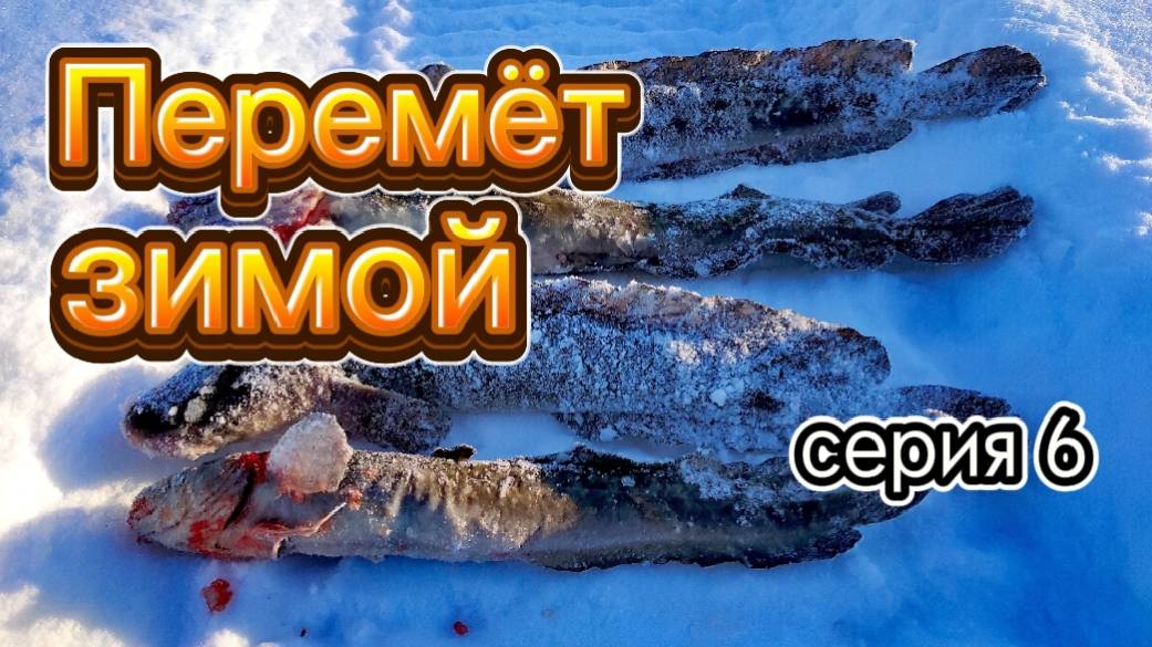 ПЕРЕМЁТ зимой. Серия 6. Ловим помаленьку!