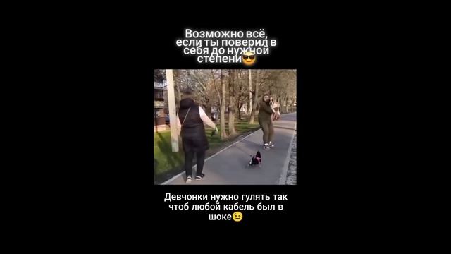 Смелая собачка