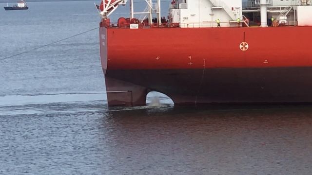 где вы встречали новый год?