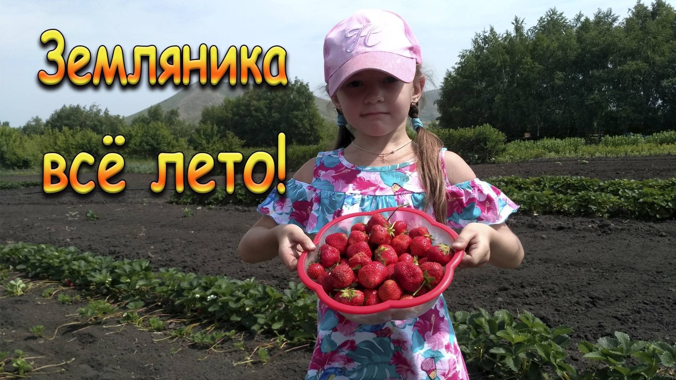 Такая земляника все лето!