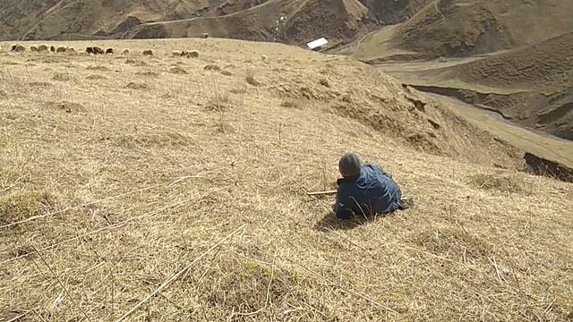 Электропастух на Экоферме Кунцалу