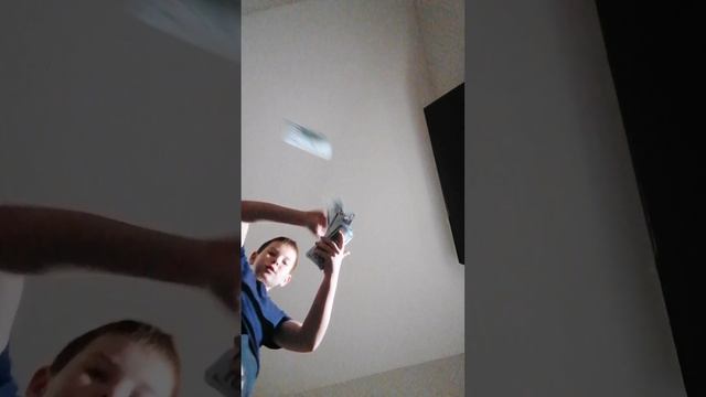 petal_20250103_200235.mp4