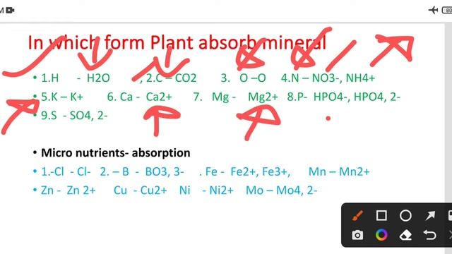 Mineral Nutrition In Plant#Hydroponic #Marco&Micro Element#Trace element#Biology#Botany#Neet#Tgt,Pg