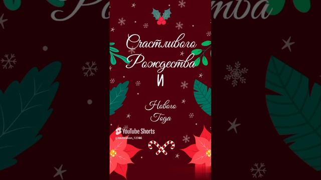 Цитата#147_ С новым годом 2025_ #happynewyear #новыйгод #2025 #цитаты #shorts