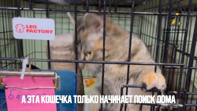 Лучший новогодний подарок! Поддержать⬇️