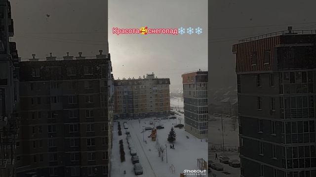 Снегопад❄❄❄