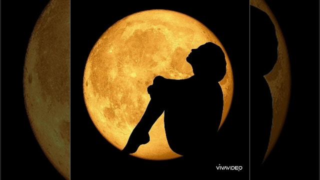 Fly me to the moon