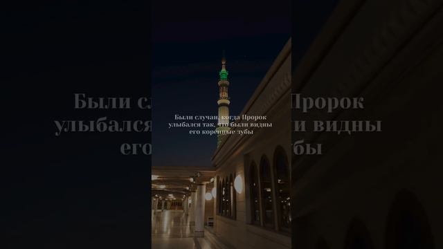 Губы и Улыбка Пророка Мухьаммада ﷺ