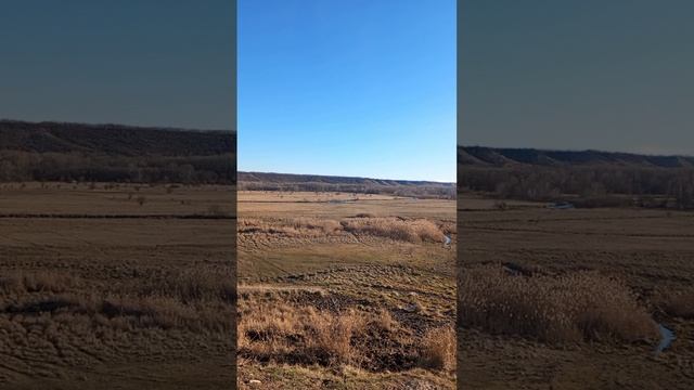 03.01.2024 #сегоднятак #сегодня #природа #матушказемля