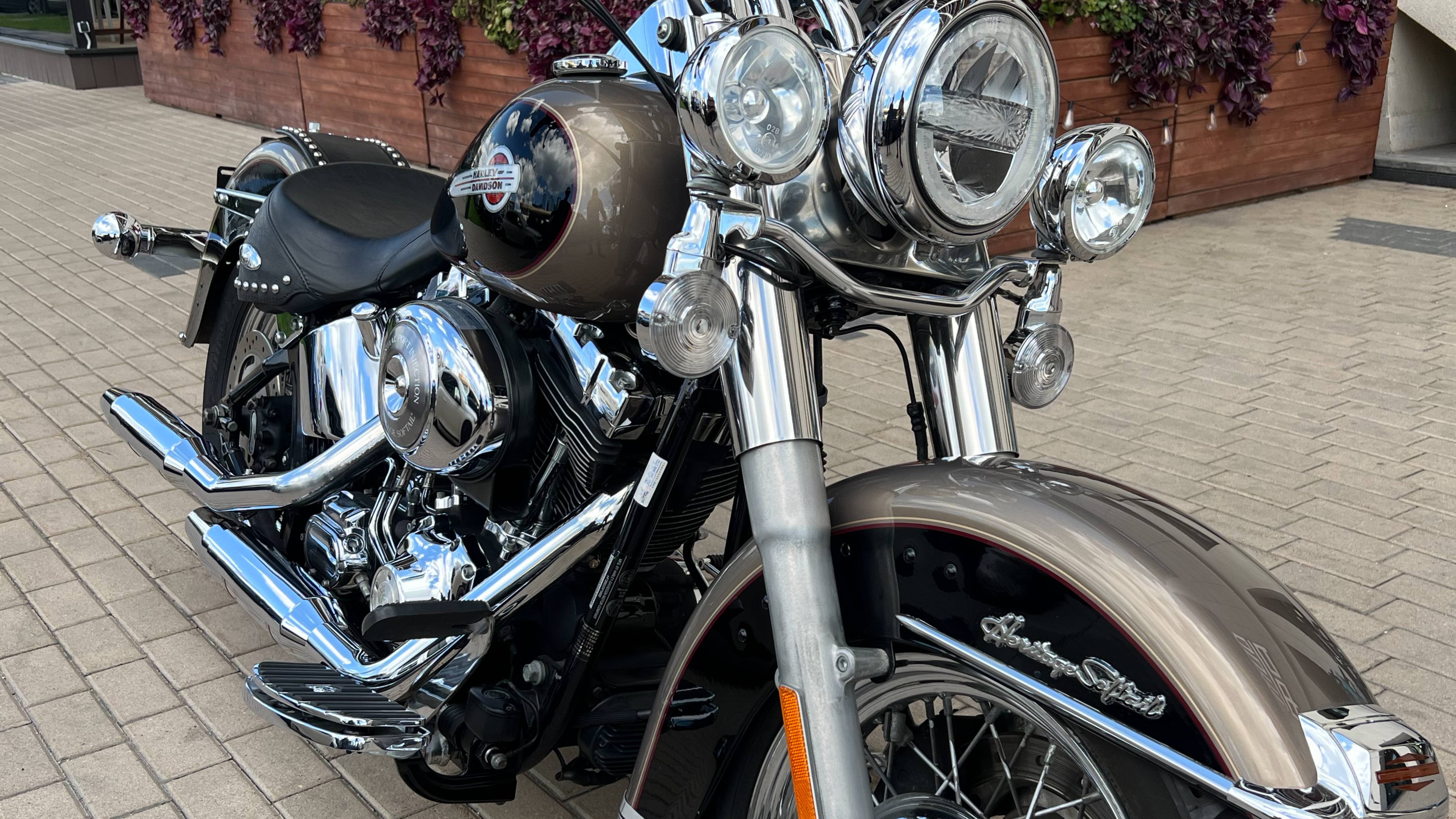 2004 Heritage Smokie Gold